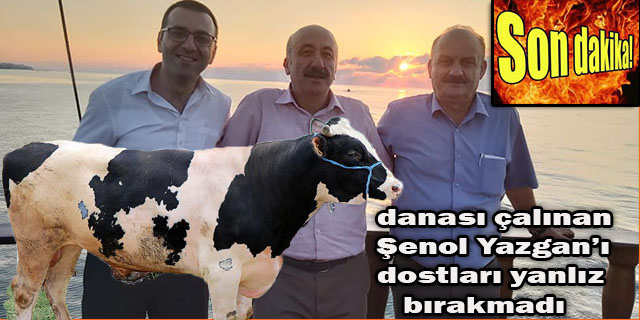 Başkan Yardımcısı Demediler Danayı Aldılar Gittiler ( Dana Çalındı )