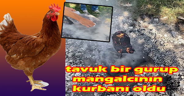 canım tavuğu yaktılar(tenekede tavuk kızartması yalan oldu)