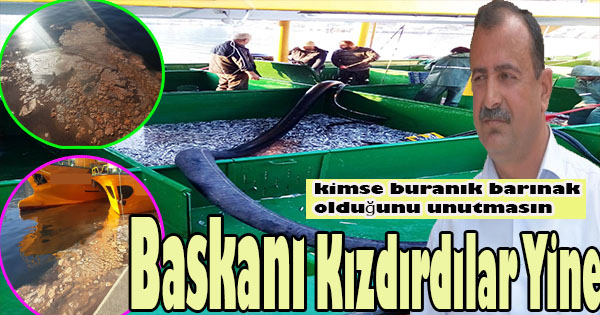 Karadenizhamsi’si bu sene zayıf hamside boy var lakın et yok