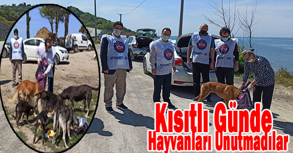 Sendika temsilcileri ilçe genelinde Bir çok hayvanın beslenmesinde etkili oldular