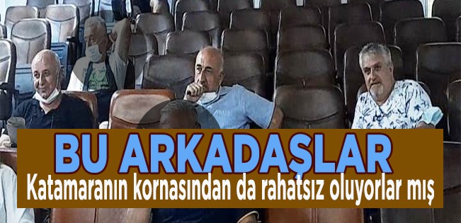 CHP VE İYİ PARTİ’NİN MECLİS ÜYELERİ KATAMARAN GİBİ ONUN KORNASINA DA TAHAMMÜLSÜZLER