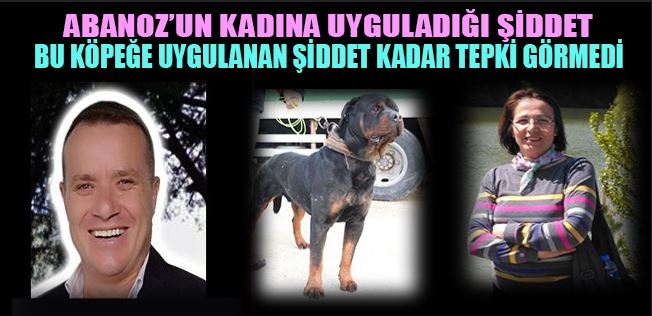 NE YAZIK Kİ CHP’NİN KADIN ŞİDDETİNİN KÖPEK ŞİDDETİ KADAR KINANMADIĞI YERDEYİZ