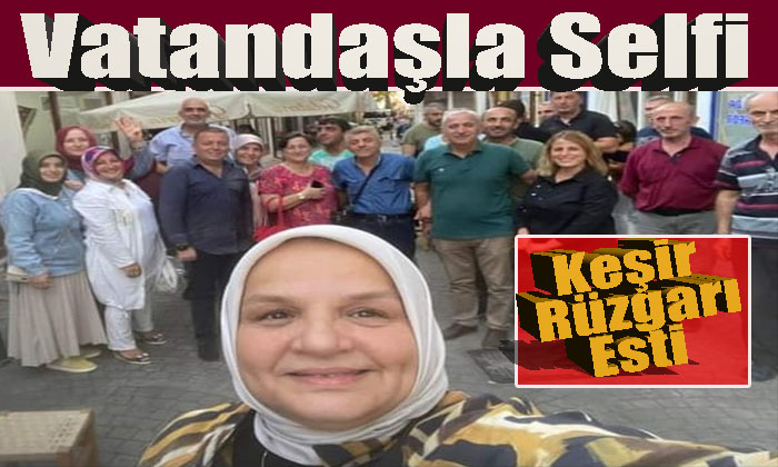 bir dizi incelemelerde bulundu