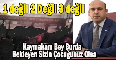 Bu iş Kabak Tadı Vermeye Başladı Kaymakam Bey