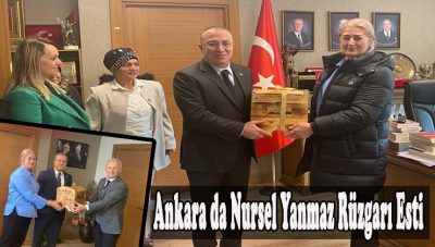 MHP Kadın kolları Ankaraya Çıkartma Yaptı