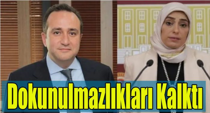 AK Parti’nin YSK’ye sunduğu aday listesine 181 mevcut milletvekili giremedi. Bu isimler arasında Sedat Peker’in iddialarında adı geçen Zehra Taşkesenlioğlu ile Tolga Ağar da var.