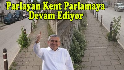 Taş Aralarından Biten Otlar Caddeye Ayrı bir estetik kattı(Yaparsa Fikret Albayrak Yapar