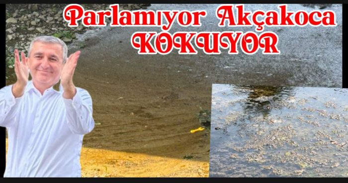 Akçakoca’da Değirmen Ağzı Köprüsü Altındaki Pislik Vatandaşları İsyan Noktasına Getirdi