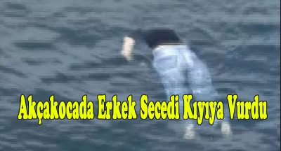 Sahil Güvenlik Kıyıya Taşıdı