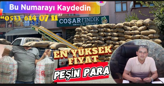 Coşar Fındık Piyasa Fiyatının Üstündeki Fiyatlarıyla Fındık Üreticilerin Yüzünü Güldürüyor