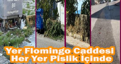 her şey Çok Güzel Olacaktı Lakin Resmen Pisliğin İçine Battık