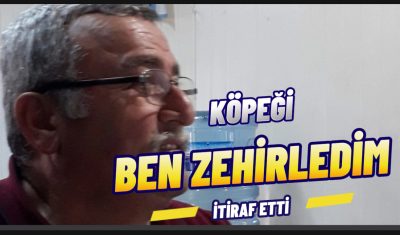 Akçakoca da  Köpek Ölümleriyle İlgili Şok Edici Olay: Muhtar Gözaltında
