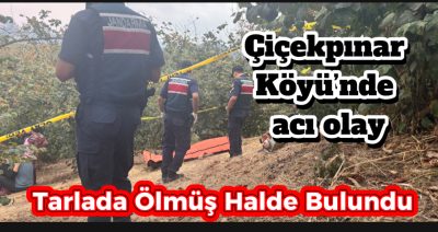 Çiçekpınar Köyü’nde Acı Olay: Tırpan Yapmaya Giden Adam Ölü Bulundu