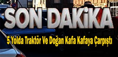 Traktör Doğan Marka Aracı Biçti