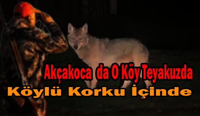 KAR YAĞIŞI KURTLARI KÖYE İNDİRDİ: DADALI’DA KORKUTAN GÖRÜNTÜLER